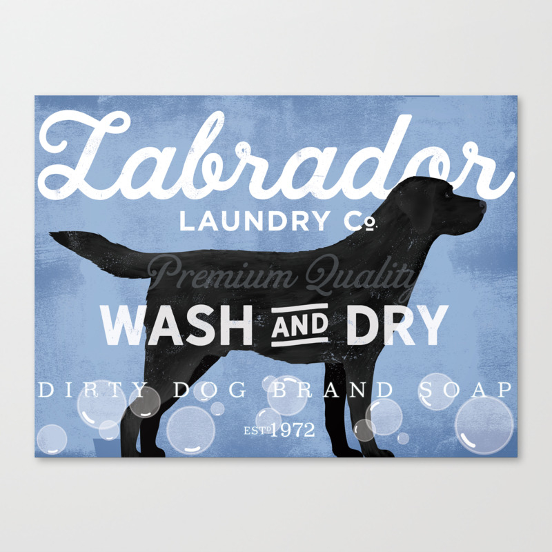 How Do You Wash A Labrador