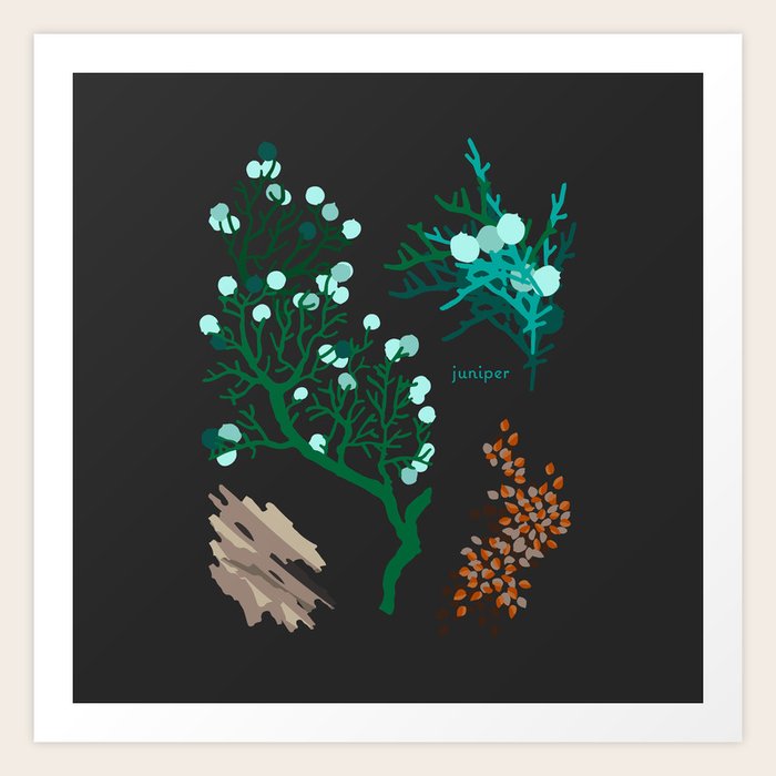 JUNIPER Art Print by holli zollinger Society6