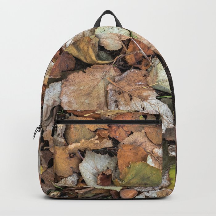 backpacks for guys
