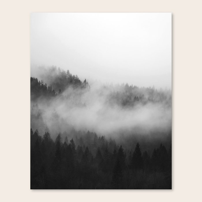 Foggy Forest Canvas Print by Summer Sun Home Art Society6