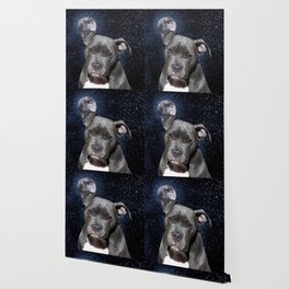 society6