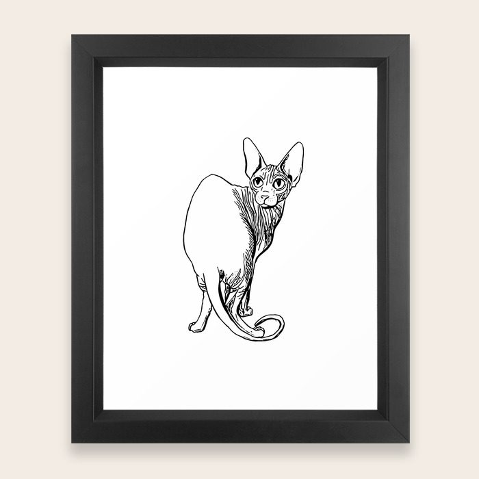 Sphynx Cat Illustration Sphynx Cat Drawing Naked Cat Wrinkly Cat Black And White Framed Art Print By Ananovakovic Society6,Cartoon Mermaid Line Drawing