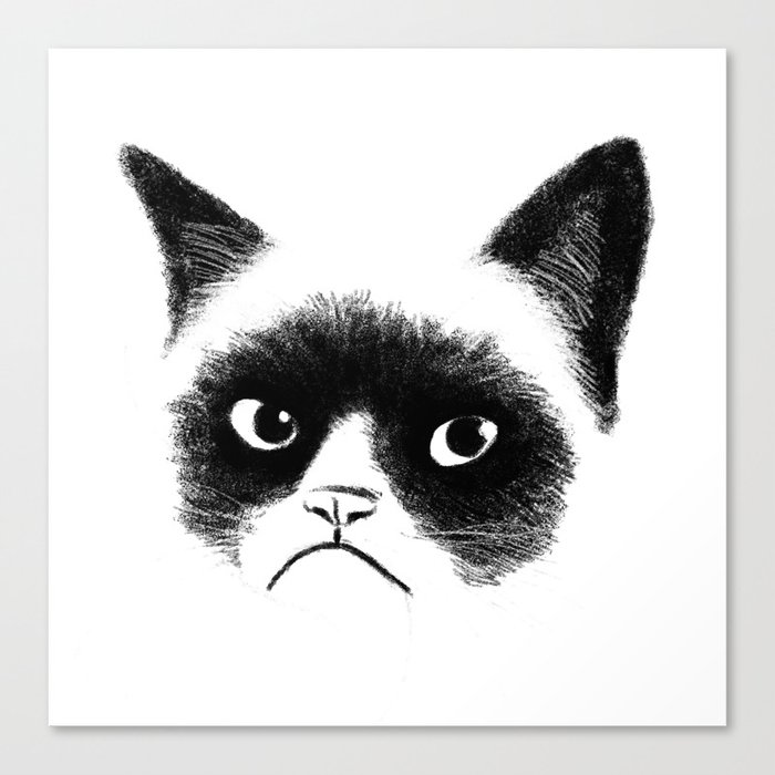 Grumpy Cat Canvas Print by Tummeow | Society6