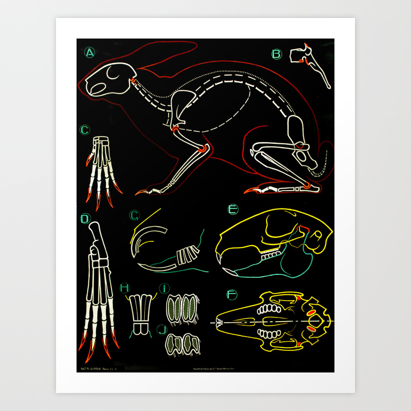 society6