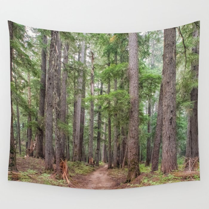 Forest Trail, Pacific Northwest, Washington State Wall Tapestry by Lisa_Elliott_Photography 