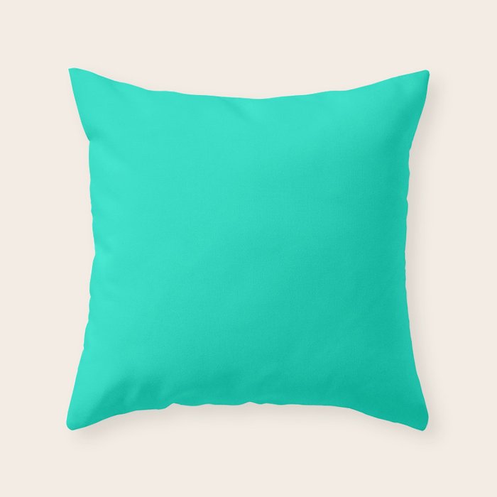 Solid Color SEAFOAM GREEN Throw Pillow by shabbyhappydesigns Society6