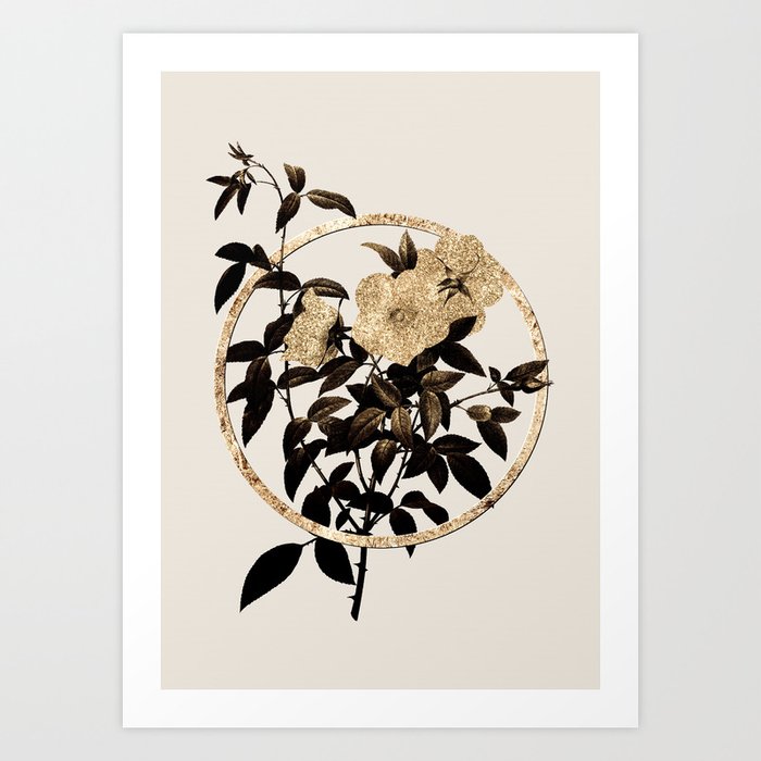 Gold Ring White Rose of Snow Glitter Botanical Illustration Art Print ...
