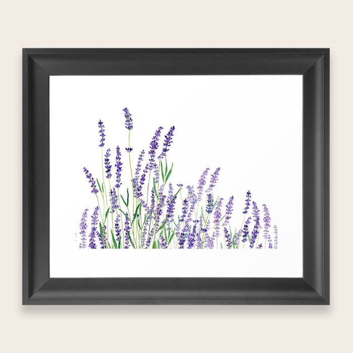 lavender watercolor horizontal Framed Art Print by Color and Color Society6