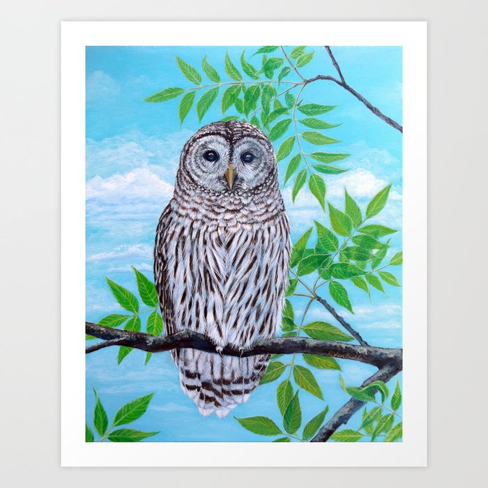 Barred Owl Art Print by A Winding Path ~ Art by Ruth | Society6