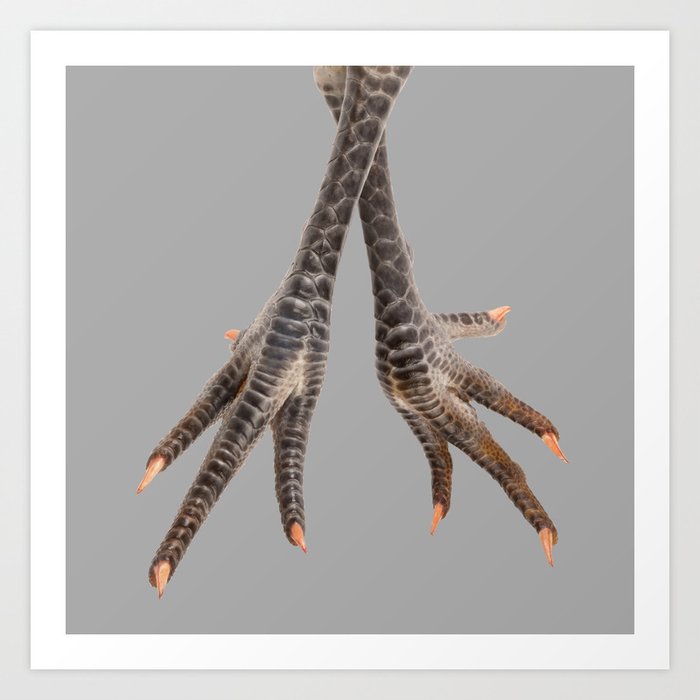 Chicken feet Art Print by coelfen | Society6